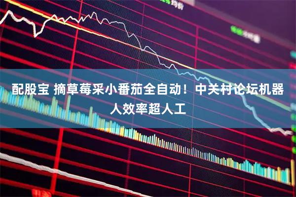 配股宝 摘草莓采小番茄全自动！中关村论坛机器人效率超人工