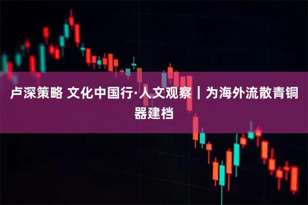卢深策略 文化中国行·人文观察｜为海外流散青铜器建档