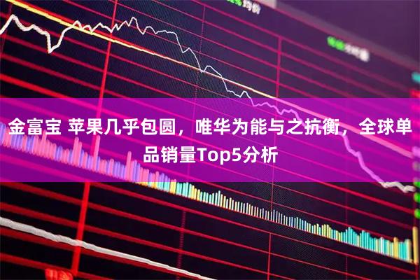 金富宝 苹果几乎包圆，唯华为能与之抗衡，全球单品销量Top5分析